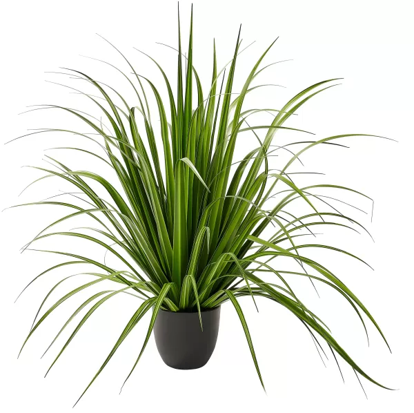 Allium Relva Decorativa Verde>CASA New