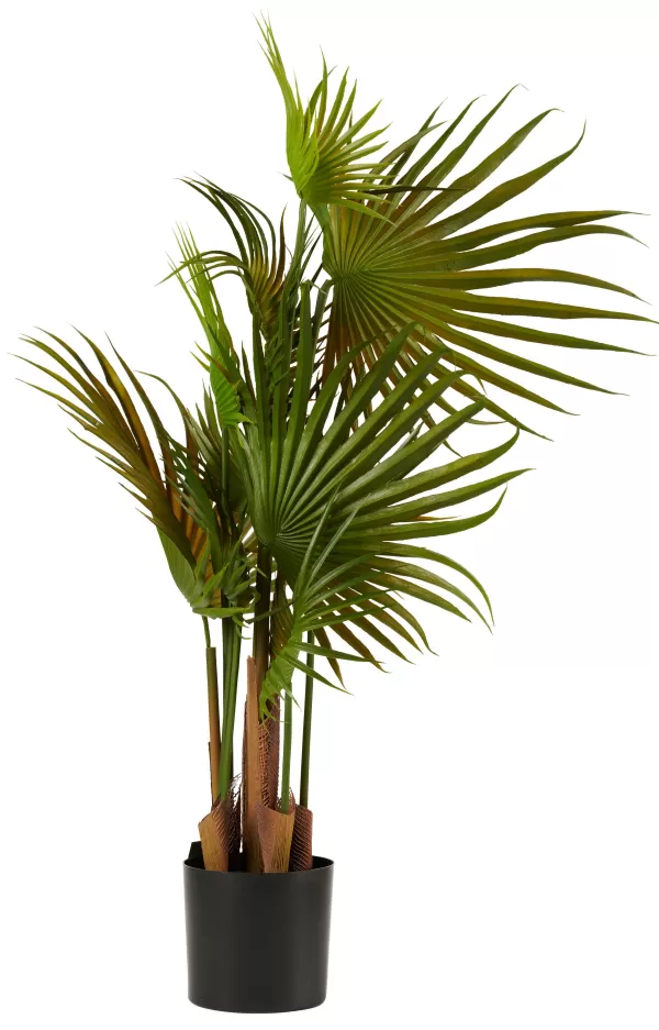Areca Palmeira Verde>CASA Flash Sale