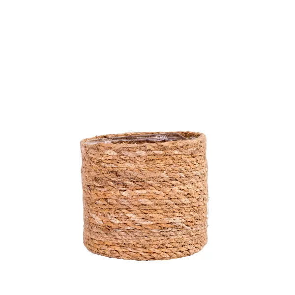 Atlantic Vaso>CASA Best