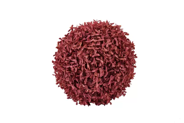 Boxwood Bola Buxo Vermelho>CASA Fashion