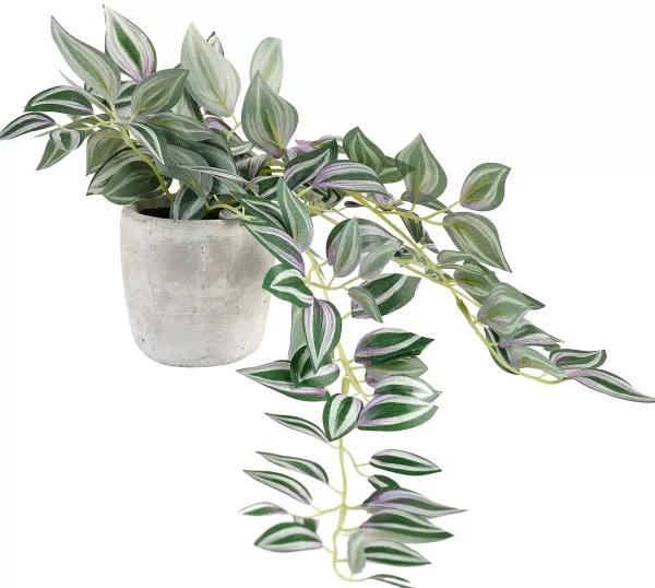 Calathea Planta Pendente Cinzento, Verde, Roxo>CASA Flash Sale