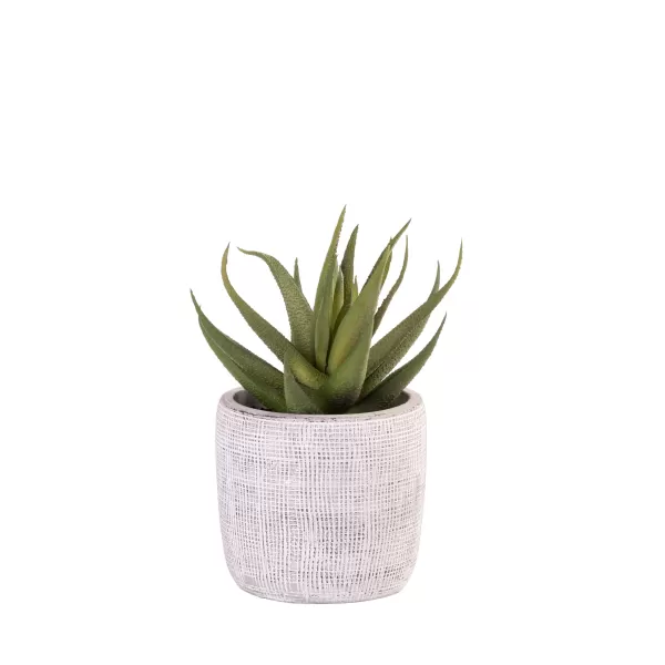 Cement Planta Artificial Cinzento>CASA Outlet
