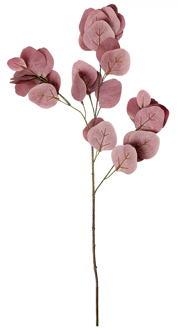 Eucalyptus Ramo Artificial Bord Us>CASA Clearance
