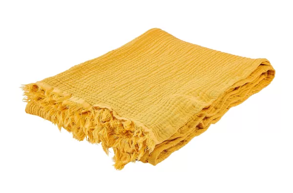 Felice Manta Ocre>CASA Online