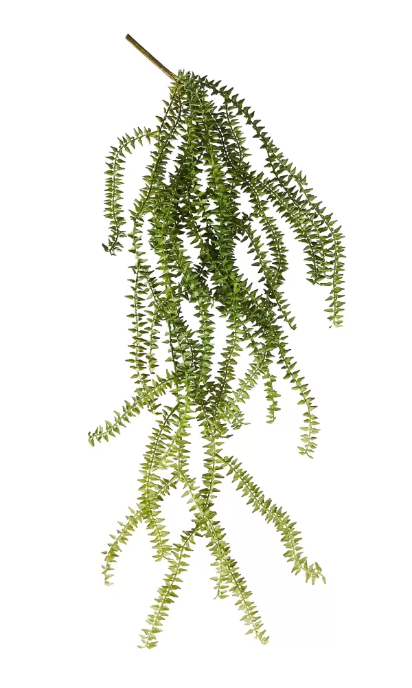 Fern Ramo De Samambaia Verde>CASA Flash Sale
