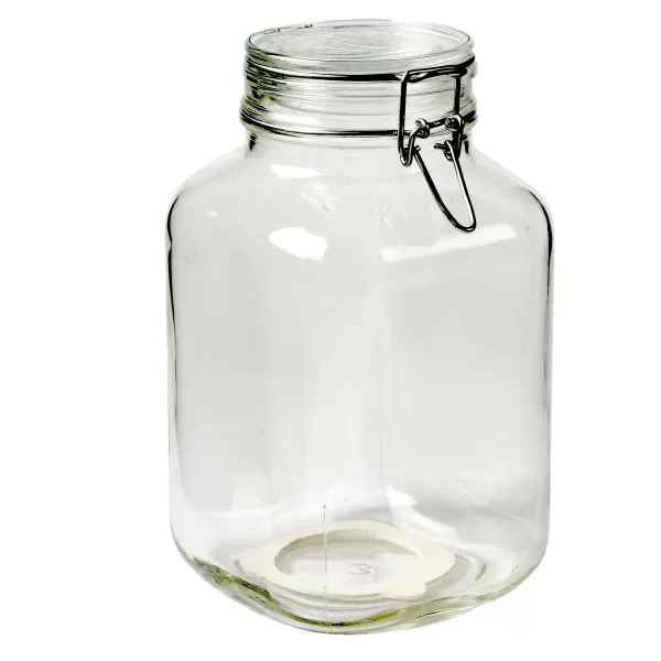 Fido Frasco Com Tampa De Press O Transparente>CASA Cheap