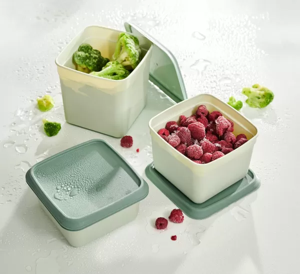 Freezer 10 Caixas Para Congelador Menta, Verde Escuro>CASA Hot