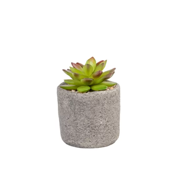 Granit Cr Ssula Em Pote Verde>CASA Best Sale