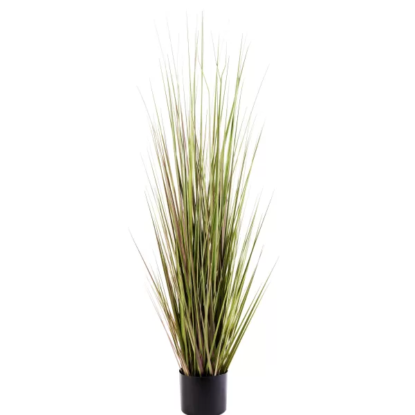 Herba Relva Em Vaso Verde>CASA Flash Sale