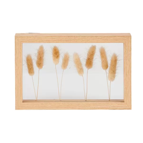 Lagurus Decora O De Parede Natural>CASA Cheap
