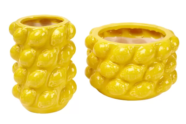 Lemon Jarra Amarelo>CASA New