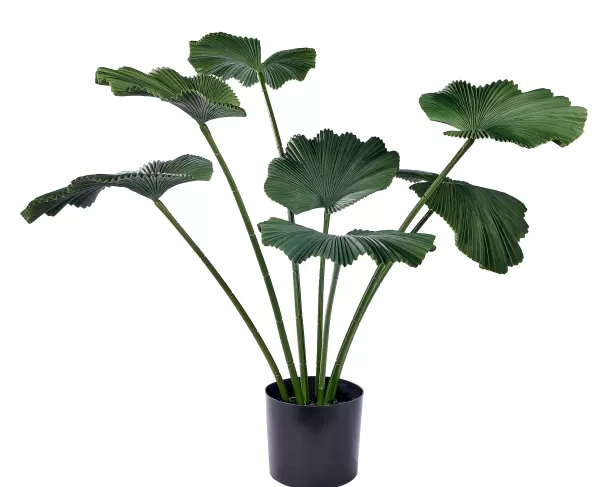 Lotus Planta Verde>CASA Fashion