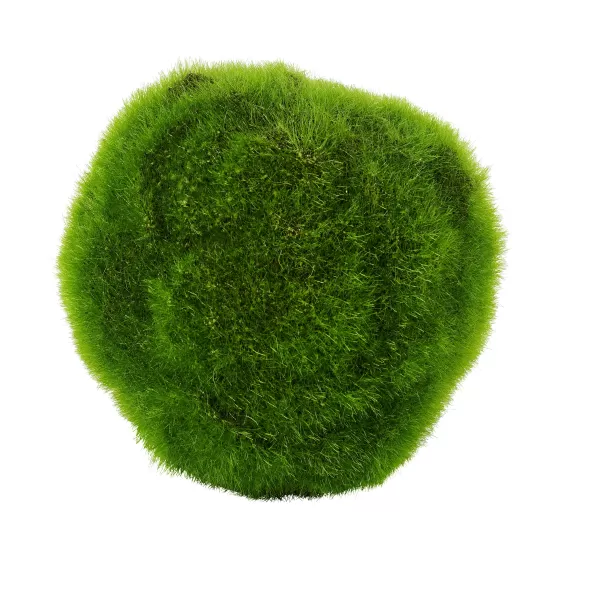 Moss Bola De Musgo Verde>CASA Shop
