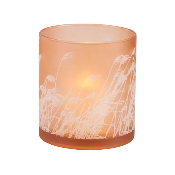 Pampas Lamparina Cor-De-Laranja>CASA Store