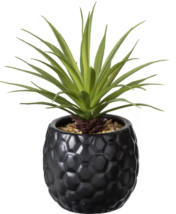 Pina Planta Anan S Em Vaso Preto>CASA Clearance