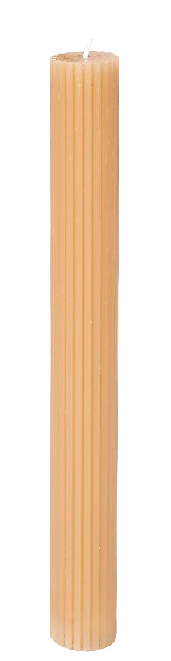Rustic Vela Rib>CASA Discount