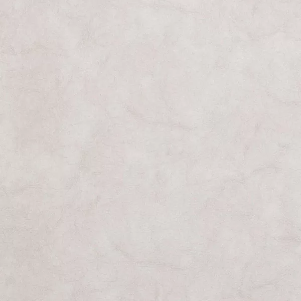 Suede Individual>CASA Online