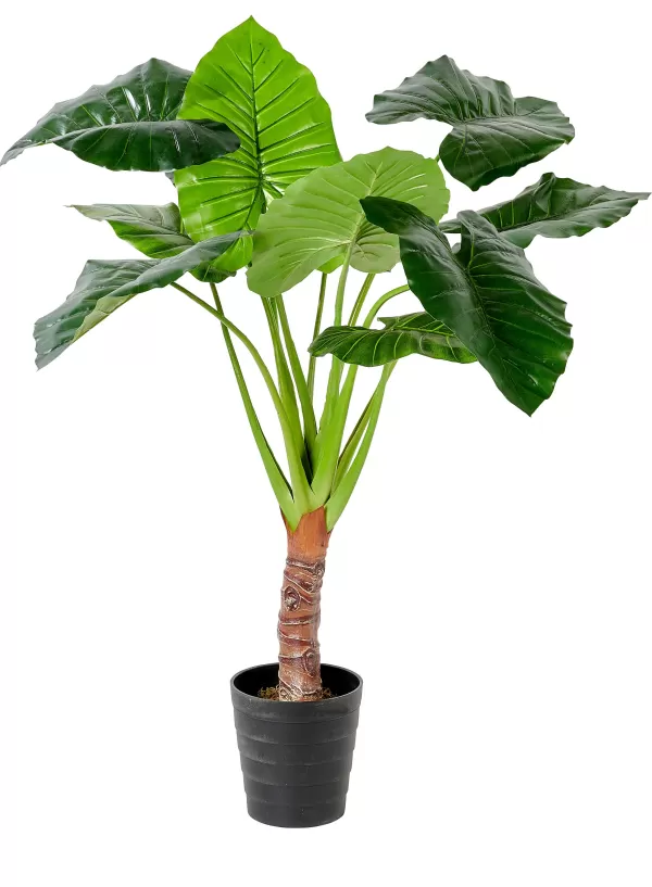 Taro Planta Artificial Ar O Verde>CASA Hot