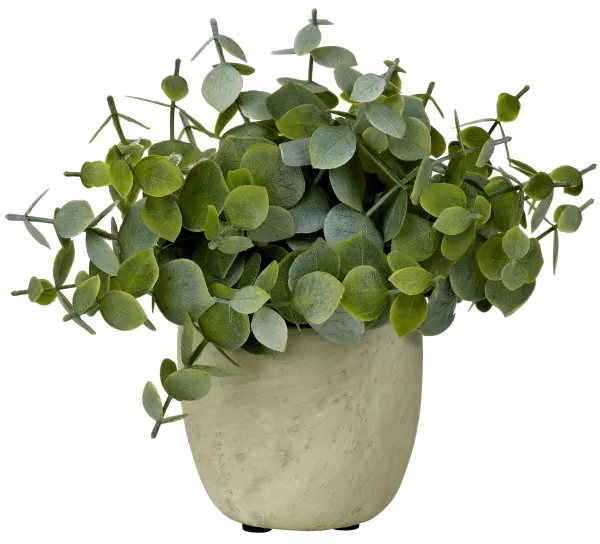 Terra Planta Em Vaso Branco, Verde>CASA Fashion