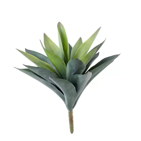 Vera Vetplant Op Stick Verde>CASA Flash Sale