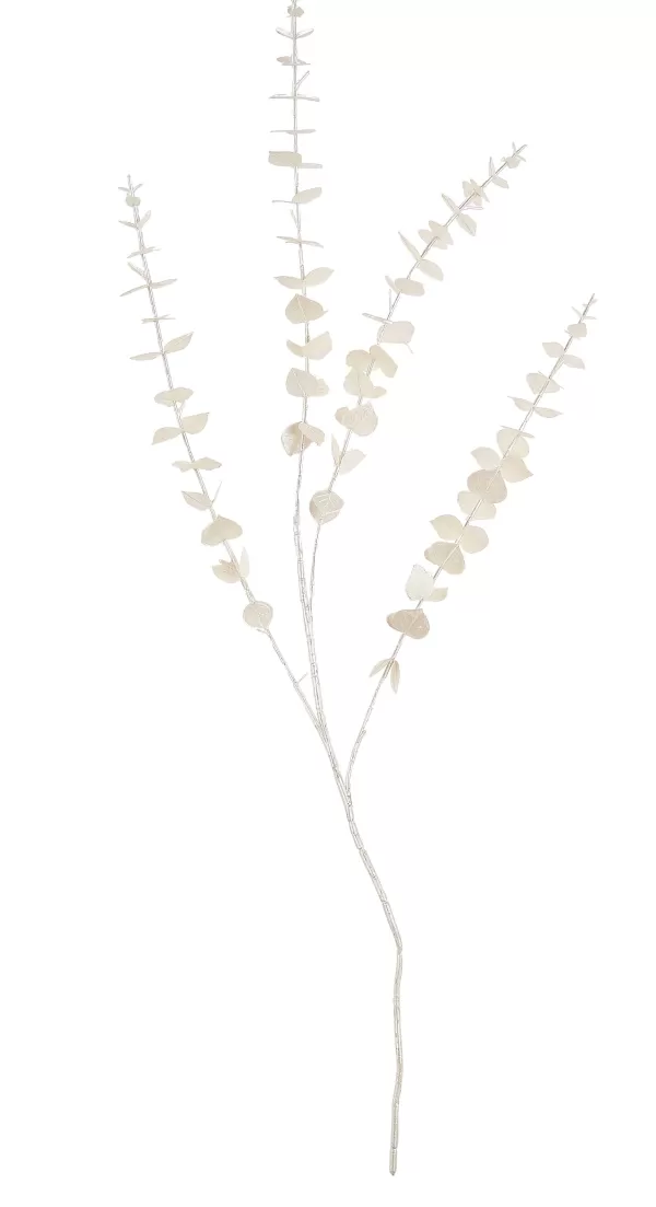 White Ramo De Eucalipto Branco>CASA Store