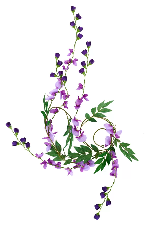 Wisteria Grinalda Verde, Roxo, Roxo Claro>CASA Best